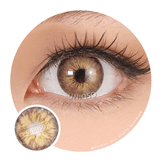 Urban Layer Amazon Brown